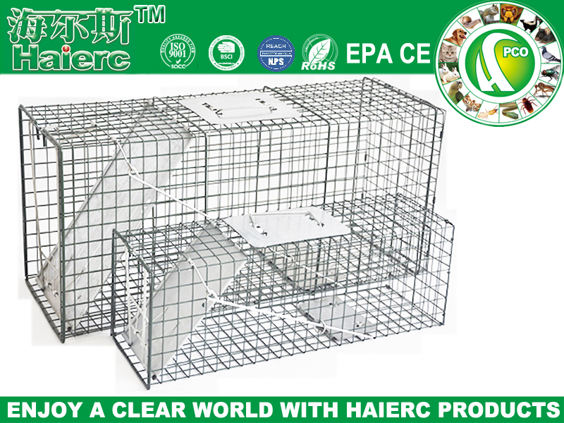 >Squirrel & Cat Trap Cage